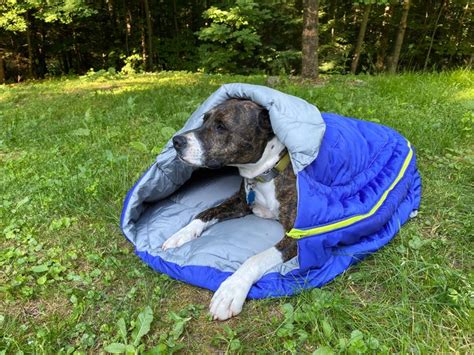dog sleeping bag ruffwear